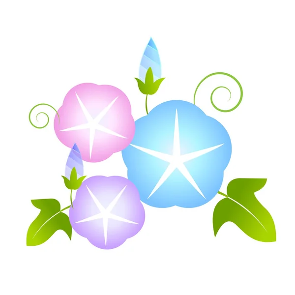 Morgen Ruhm Sommer Blume Symbol — Stockvektor