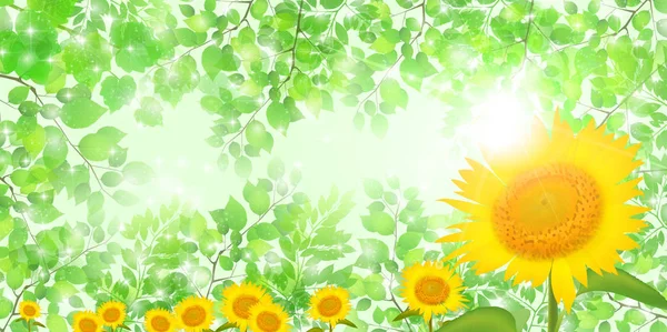 Sunflower Summer Scenery Background — Stock Vector