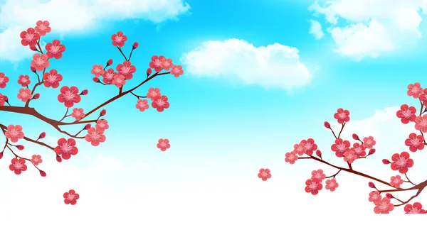 Plum Blossom Flower Spring Background — Stock Vector