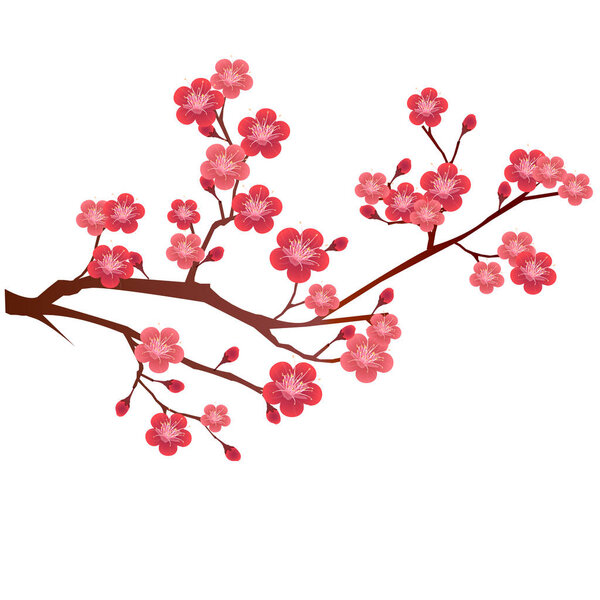 Plum blossom Flower spring icon