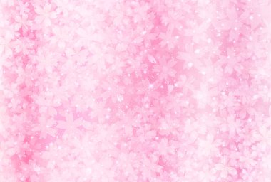 Kiraz çiçeği bahar çiçekleri arka planı