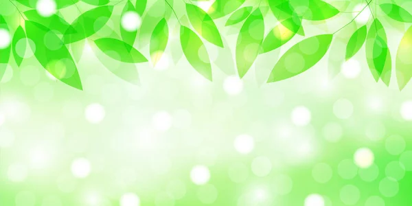 Folhas Verdes Frescas Luz Verde Fundo —  Vetores de Stock