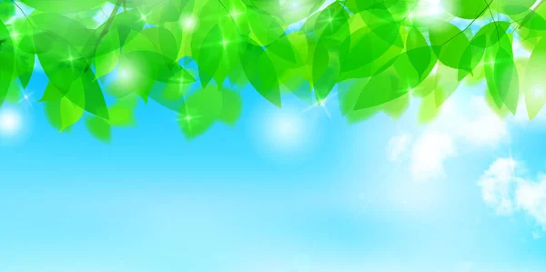 Čerstvé Zelené Listy Zelené Světlo Pozadí — Stockový vektor
