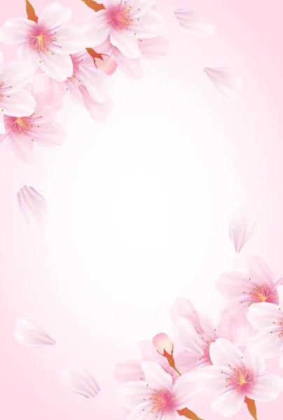 Flor Cerejeira Fundo Flores Primavera —  Vetores de Stock