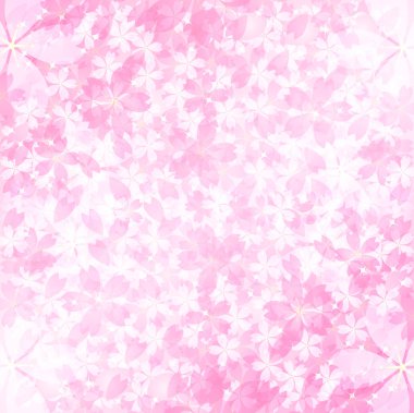 Kiraz çiçeği bahar çiçekleri arka planı