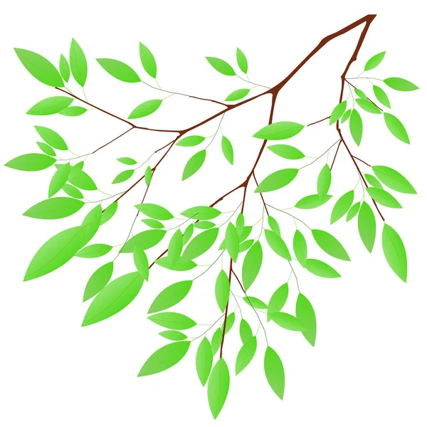 Icono Verde Árbol Hoja Verde Fresco — Vector de stock