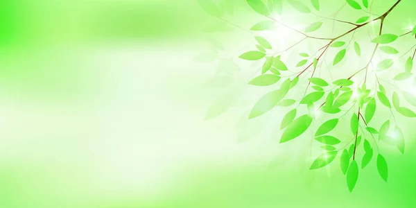 Свіже Зелене Листя Зелене Світле Тло — стоковий вектор