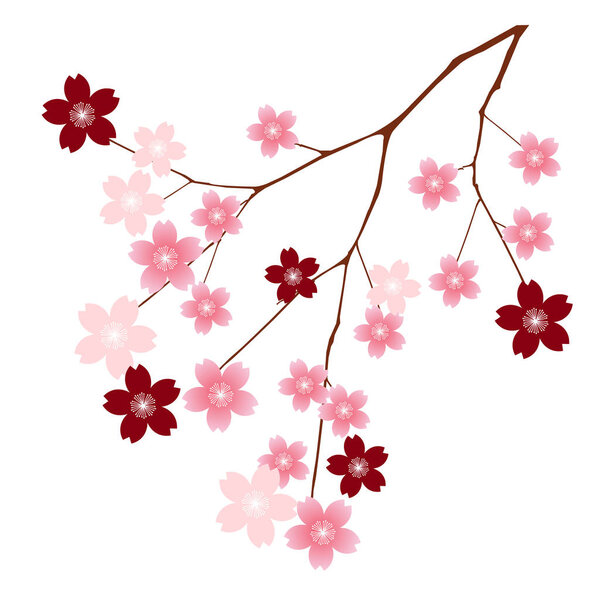 Cherry blossom tree spring icon
