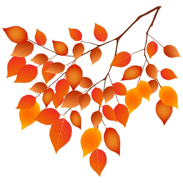 Autumn Leaves Autumn Maple Leaves Icon — 스톡 벡터