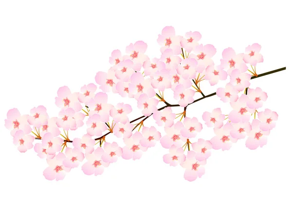 ไอคอนดอกซาก ระฤด ใบไม — ภาพเวกเตอร์สต็อก