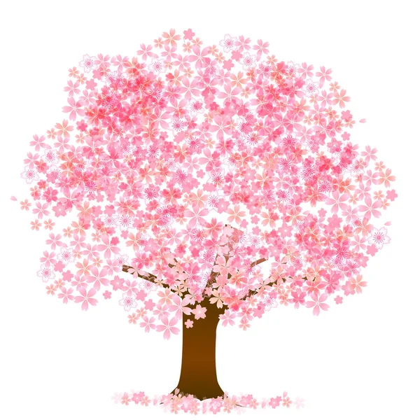 Kirschblüte Frühling Blume Symbol — Stockvektor