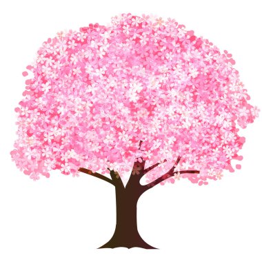 Kiraz çiçeği bahar çiçeği ikonu