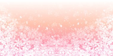 Kiraz çiçeği bahar çiçekleri arka planı