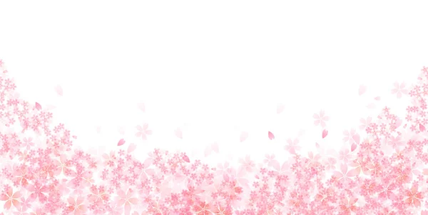 Körsbärsblomma Våren Blommor Bakgrund — Stock vektor