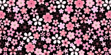 Kiraz çiçeği bahar çiçekleri arka planı