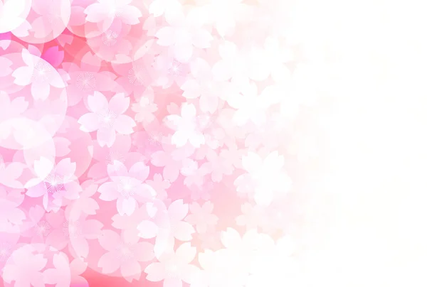 Kirschblüte Frühling Blumen Hintergrund — Stockvektor