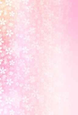 Kiraz çiçeği bahar çiçekleri arka planı