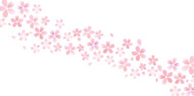 Kiraz çiçeği bahar çiçekleri arka planı