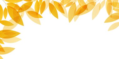 Sonbahar yaprakları turuncu arkaplanı terk eder