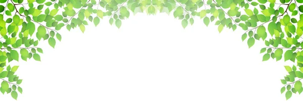 Folhas Verdes Frescas Luz Verde Fundo — Vetor de Stock