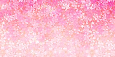 Kiraz çiçeği bahar çiçekleri arka planı