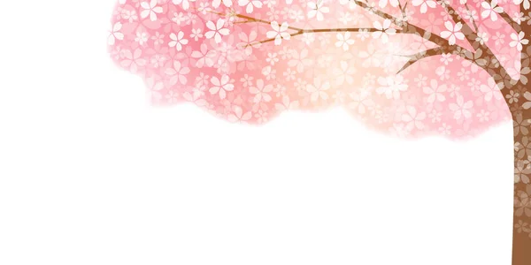 Cherry Blossom Spring Flowers Background — Stock Vector