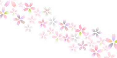 Kiraz çiçeği bahar çiçekleri arka planı