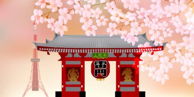 Kiraz çiçeği İlkbahar Tokyo arka planı