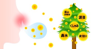 Polen sedir alerjisi bahar arkaplanı