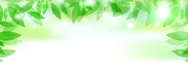 Fresh Green Leaves Green Light Background — Stock Vector
