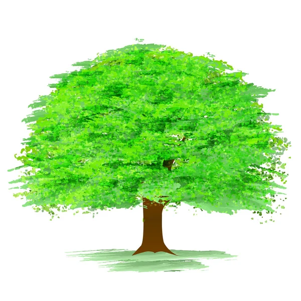 Świeże Zielone Drzewo Zielone Ikona Przyrody — Wektor stockowy