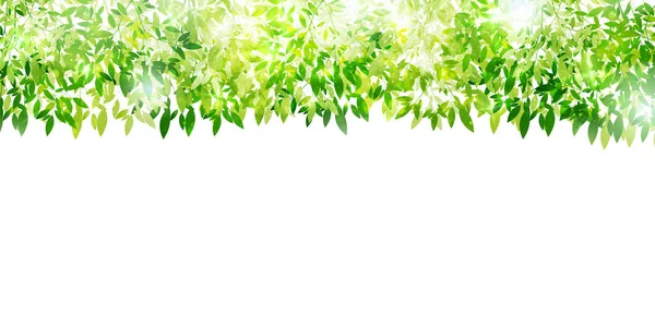 新鲜绿叶绿色自然背景 — 图库矢量图片