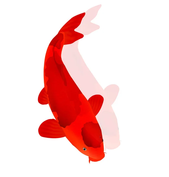 Sazan Balığı Japon Yaratık Simgesi — Stok Vektör