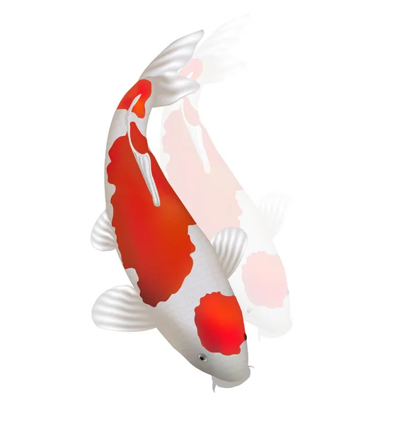 Carpa Pesce Giappone Creatura Icona — Vettoriale Stock