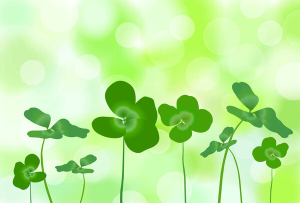 Клевер зеленый лист растения фон
