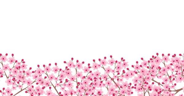 Ανθισμένα Άνθη Κερασιάς Φόντο Άνοιξη — Διανυσματικό Αρχείο