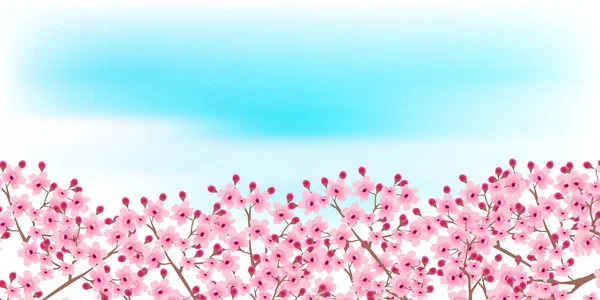 Cherry Květ Jarní Květiny Pozadí — Stockový vektor