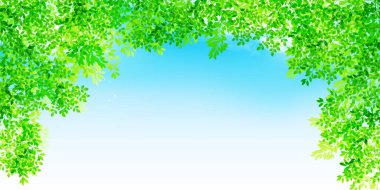 Taze yeşil yapraklar yeşil ışık arkaplanı