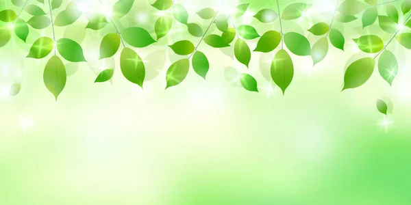 Fresh Green Leaves Light Background — Stock Vector