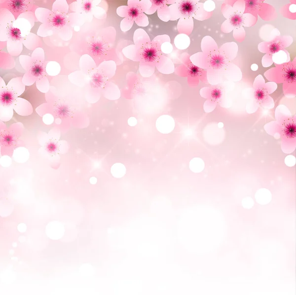 Цветение Сакуры Весенний Цветок Япония — стоковый вектор