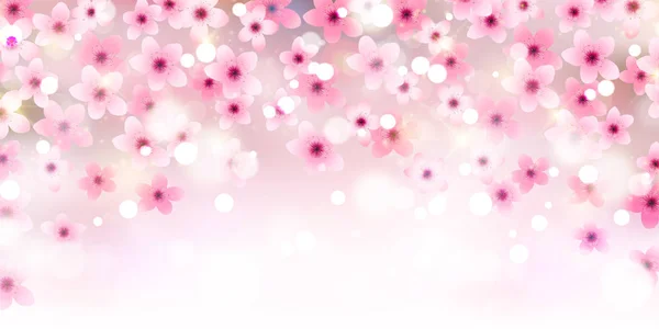 Background Cherry Blossom Spring Flower Japan - Stok Vektor