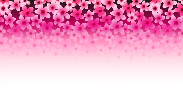 Fond Fleur Cerisier Printemps Fleur Japon — Image vectorielle
