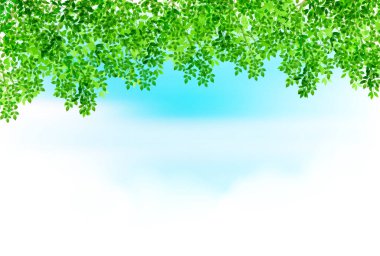 Taze yeşil yapraklar yeşil bitki arka planı