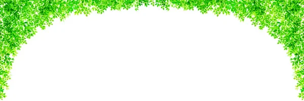 鲜绿色叶绿植物背景 — 图库矢量图片