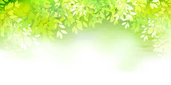 Färska Gröna Blad Grönt Ljus Bakgrund — Stock vektor