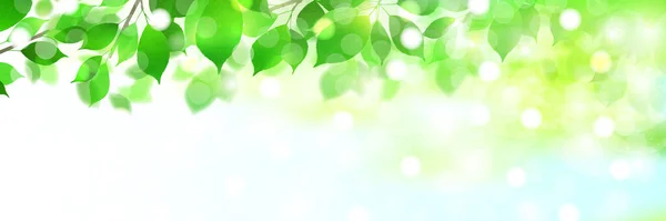 Fresh Green Leaves Green Light Background — 스톡 벡터