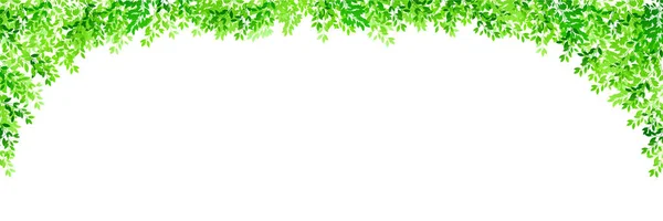 Fresco Verde Foglie Sfondo Chiaro — Vettoriale Stock