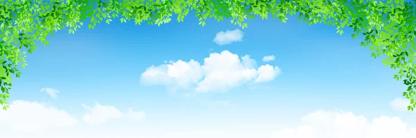 Fresh Green Leaves Sky Background — Stock Vector