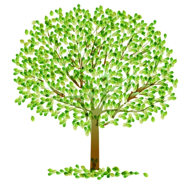Иконка Зеленого Листа Дерева — стоковый вектор