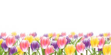 Lale çiçekleri bahar gökyüzü arkaplanı